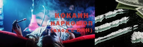 ПСИЛОЦИБИНОВЫЕ ГРИБЫ Корсаков