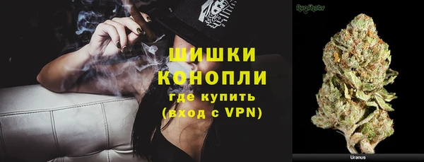 ПСИЛОЦИБИНОВЫЕ ГРИБЫ Корсаков