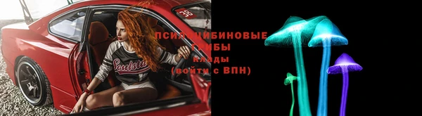 ПСИЛОЦИБИНОВЫЕ ГРИБЫ Корсаков