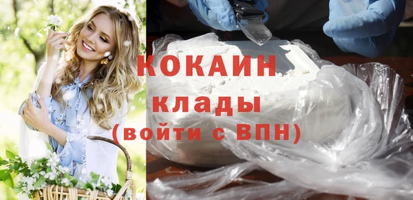 ПСИЛОЦИБИНОВЫЕ ГРИБЫ Корсаков