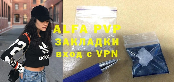 ПСИЛОЦИБИНОВЫЕ ГРИБЫ Корсаков