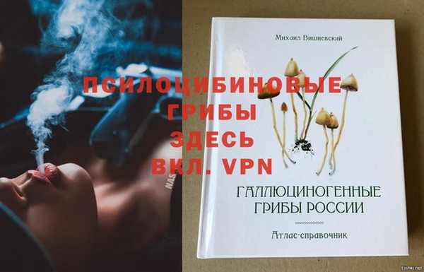 мяу мяу кристалл Коряжма