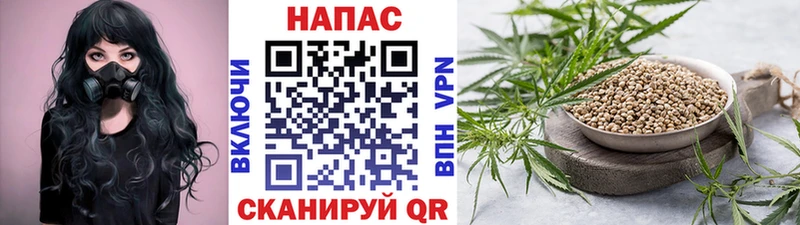 Конопля план  Купить  Ужур 